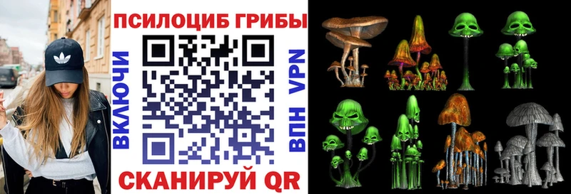 Галлюциногенные грибы MAGIC MUSHROOMS Купить Кулебаки